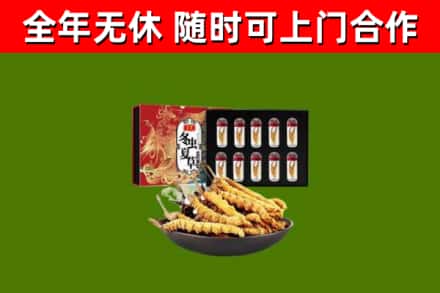 平远县回收冬虫夏草价格